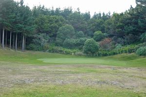 Waverley 7th Green